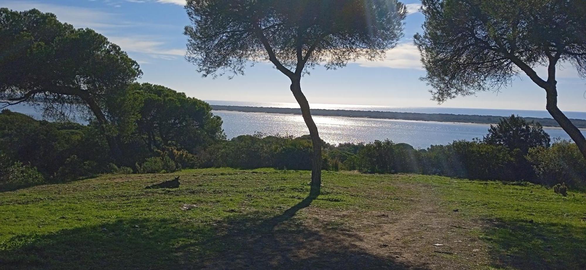 Apartament Pleamar *